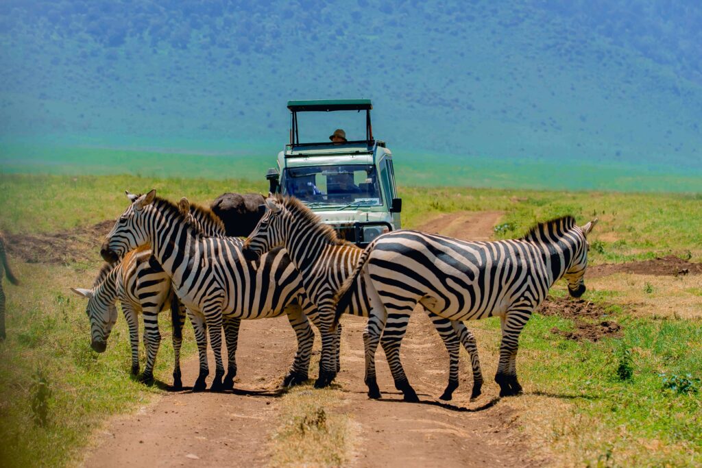 Ngorongoro Crater|Baest Royal Adventures