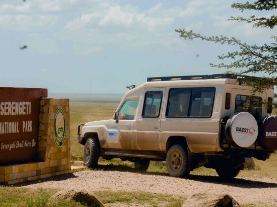 Serengeti National Park|Baest Royal Adventures|Tanzania