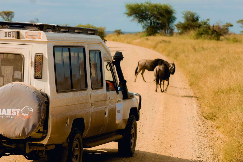 Serengeti National Park|Baest Royal Adventures|Tanzania