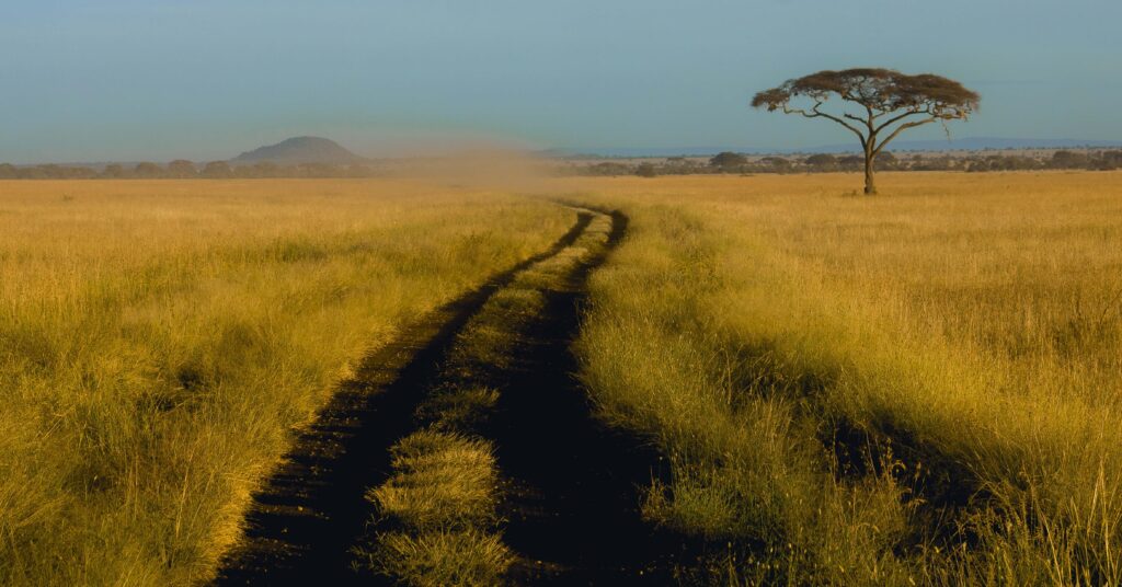 Serengeti National Park|Baest Royal Adventures|Tanzania