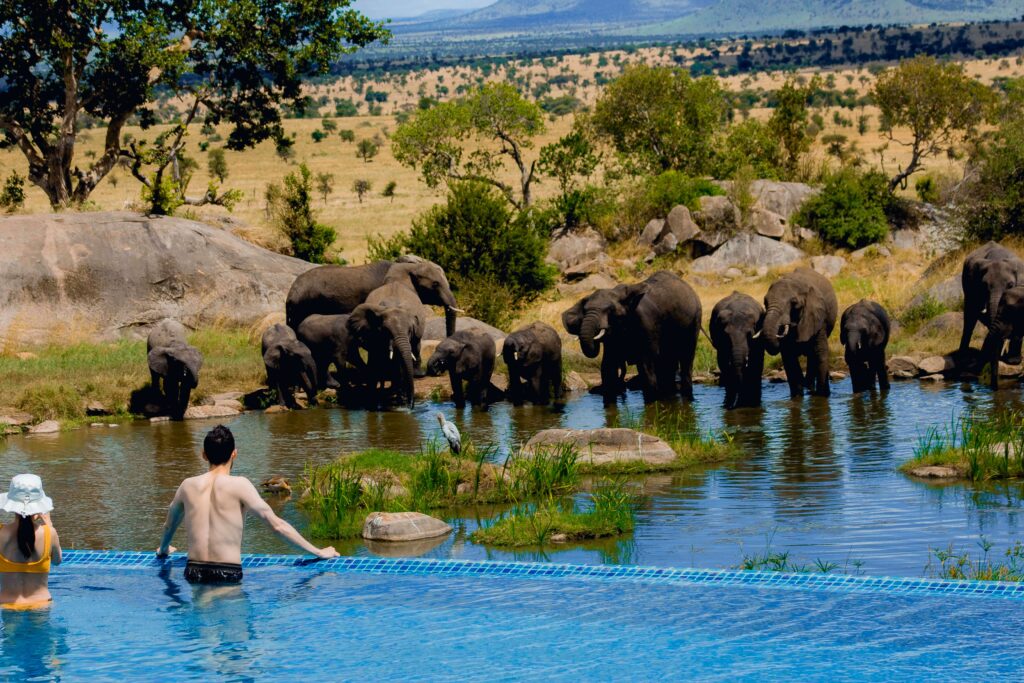 Serengeti National Park|Baest Royal Adventures|Tanzania