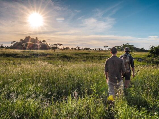 Walking safari|Arusha National Park|Baest Royal Adventures