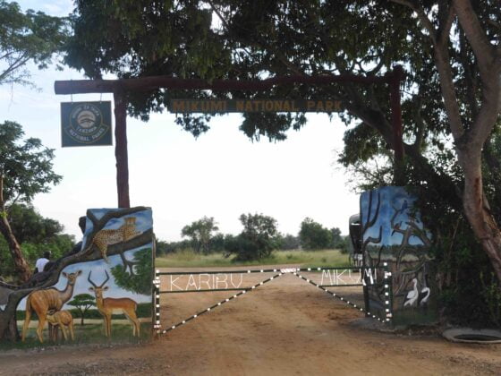 Mikumi National Park gate|Morogoro|Baest Royal Adventures