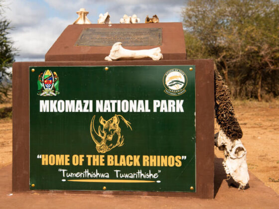 Mkomazi National Park|Baest Royal Adventures