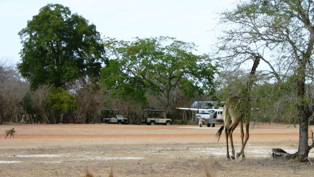 Mwalimu Nyerere National park|Selous Game Reserve|Baest Royal Adventures|Mtemere Airstrip