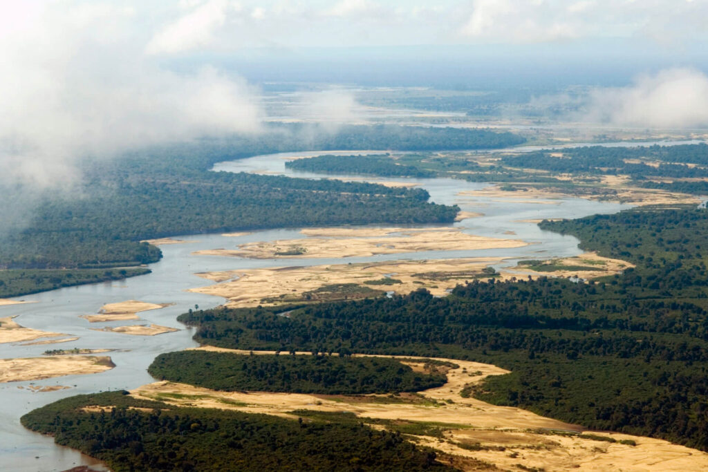 Mwalimu Nyerere National park|Selous Game Reserve|Baest Royal Adventures