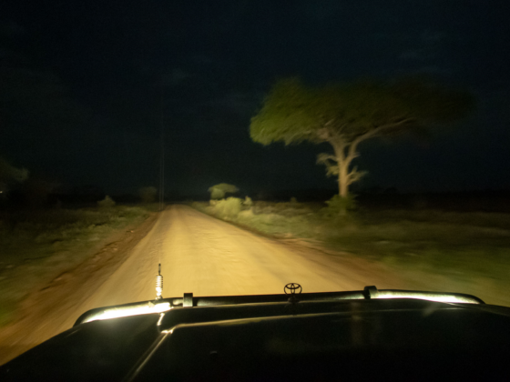 Night Game Drive with Baest Royal Adventures