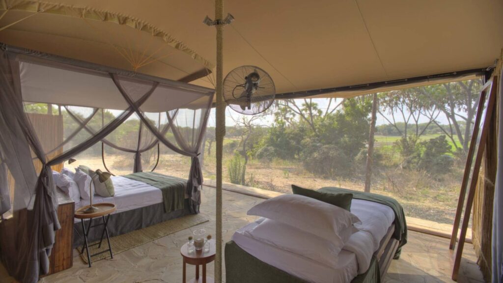 Roho ya Selous|Accommodation in Selous|Mwalimu Nyerere National park|Selous Game Reserve|Baest Royal Adventures