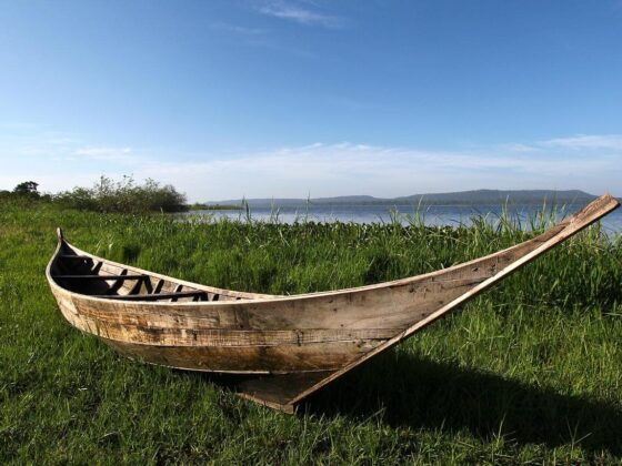 Rubondo Island National Park|Baest Royal Adventures