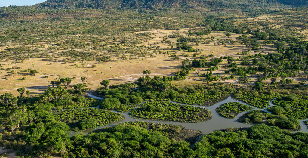 Mwalimu Nyerere National park|Selous Game Reserve|Baest Royal Adventures