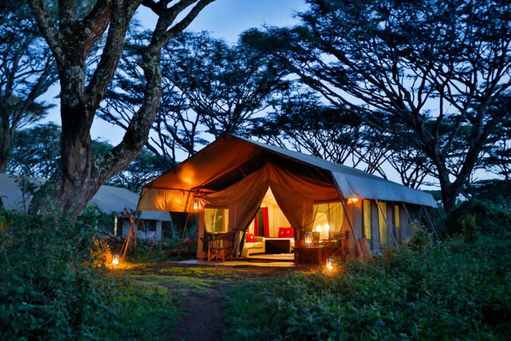 Lemala Ngorongoro Camp|Baest Royal Adventures