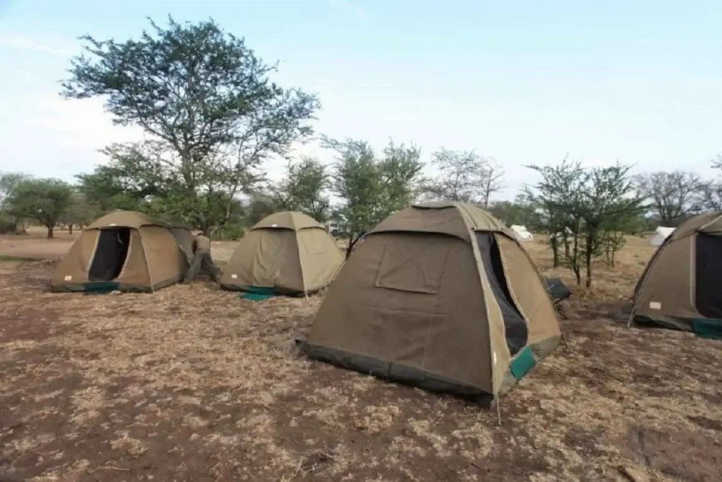 Simba Campsite|Baest Royal Adventures