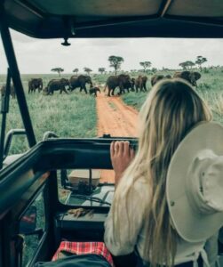 Game Drive|Safari|Baest Royal Adventures