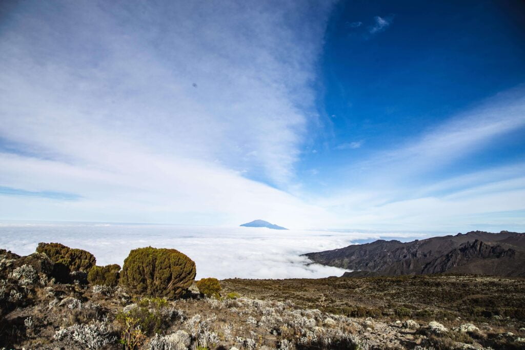 Kilimanjaro Mountain|Baest Royal Adventures