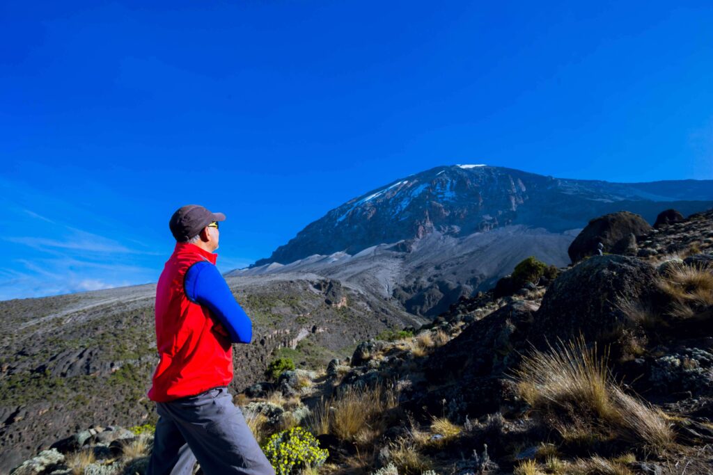 Kilimanjaro Mountain|Baest Royal Adventures