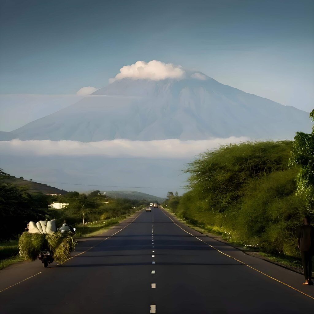 Road to kilimanjaro|Baest royal adventures