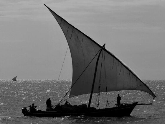 Dhow Cruise|Zanzibar|Baest Royal Adventures