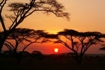 Sunrise|Sunset|Bush|Wildlife|Baest Royal Adventures